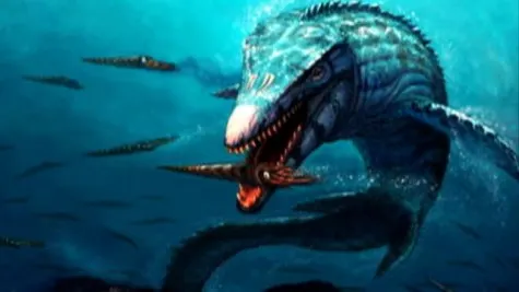 A snake like body, with a crocodile head, is one description of the monster.