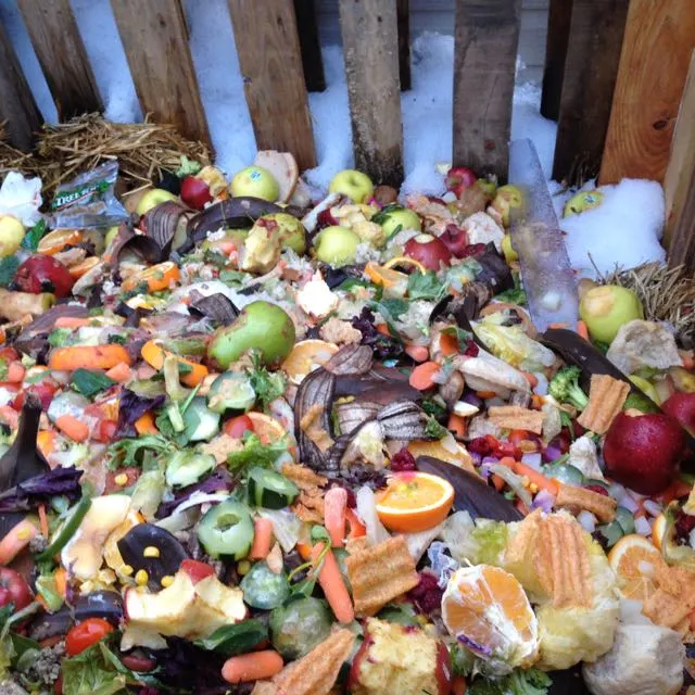 Green Dragons and Compost Program