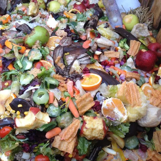 Green Dragons and Compost Program
