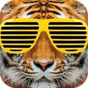 What Is This After School App? Anonymous